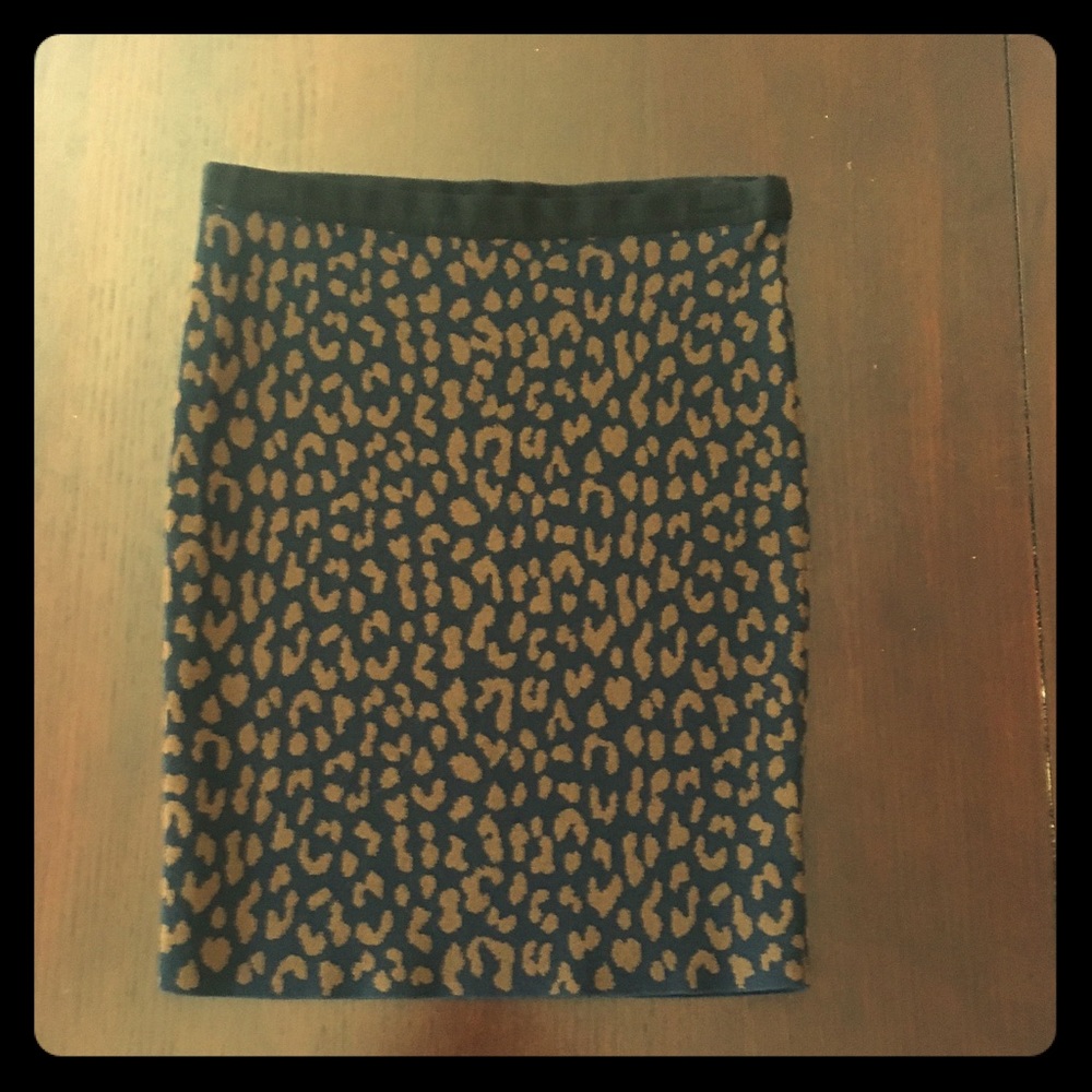 Rachel Roy Skirt